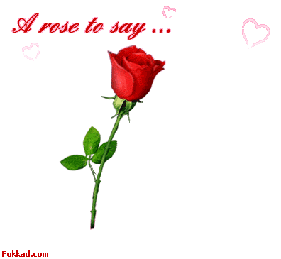 fleur d'amour