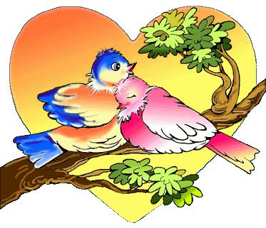 l'amour a tous les droits